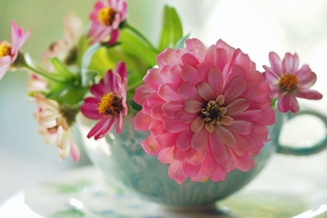 生忌和死忌是什么意思