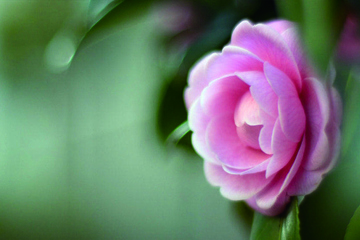 生忌和死忌是什么意思