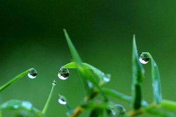 网上祭祀该如何操作