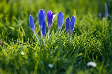吊唁的注意事项有哪些
