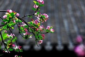 悼词范文精选大全