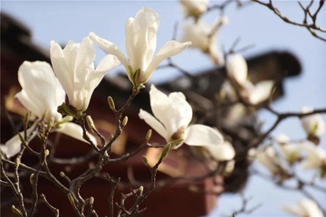 悼词范文精选大全