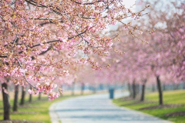 悼词范文精选大全