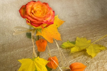 吊唁短信用语,吊唁慰问短信