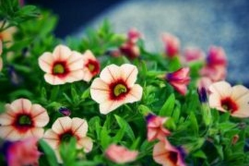 吊唁短信用语,吊唁慰问短信