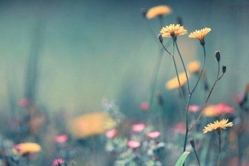 吊唁短信用语,吊唁慰问短信