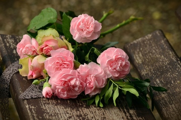 每年忌日如何祭奠