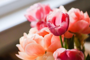 每年忌日如何祭奠