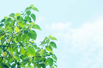 忌日应该给死人烧什么