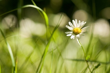 逝者生辰怎么祭奠