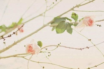 碑文是什么意思