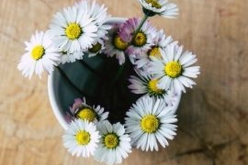 碑文是什么意思