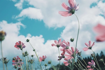 劝朋友节哀顺变的话语