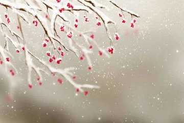 挽联的意思是什么