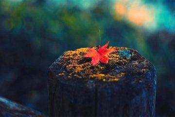 挽联的意思是什么