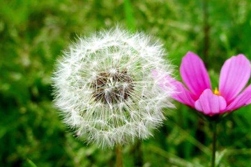 父亲去世追悼词