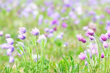 父亲去世追悼词