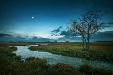 父亲生日如何祭拜