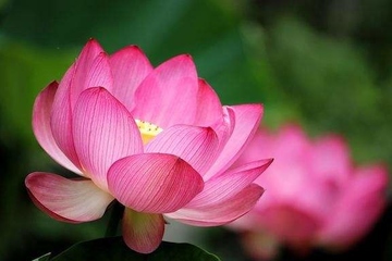 父亲生日如何祭拜