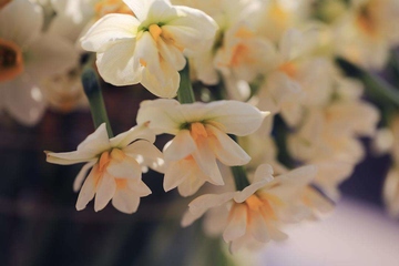 思念逝者的伤感句子