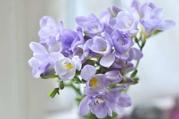 致逝者安息的句子