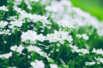 农村父亲悼词范文