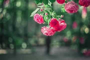 农村父亲悼词范文