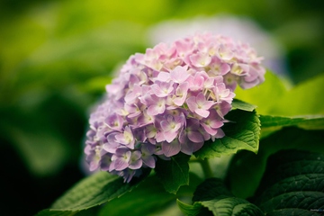 儿女给父亲的悼词范文