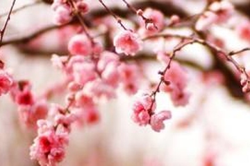 吊唁礼金信封上怎么写