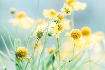 吊唁礼金信封上怎么写