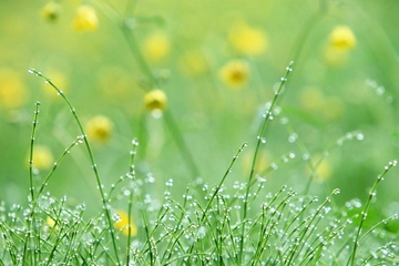 怎么写现代墓志铭