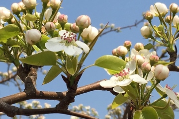 讣告最好的范文