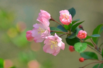 讣告最好的范文