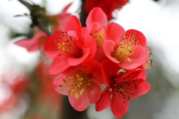 讣告最好的范文