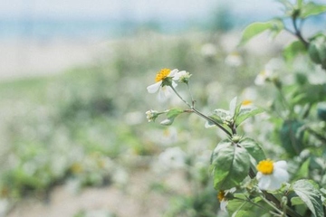 杨公忌日不能做哪些事