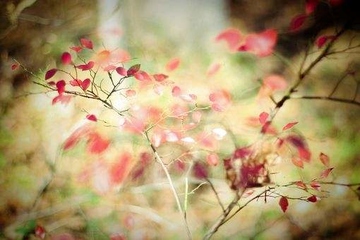 杨公忌日不能做哪些事