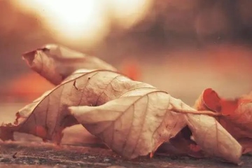 丧事讣告怎么写