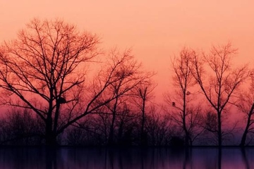 丧事讣告怎么写