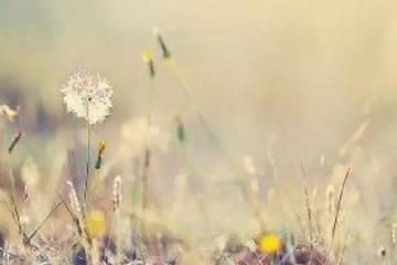 丧事讣告怎么写