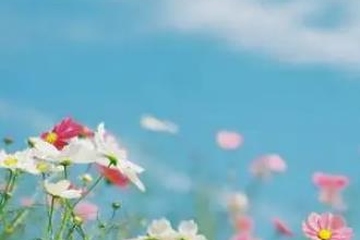 丧事讣告怎么写