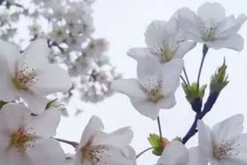 老人去世简短追悼词