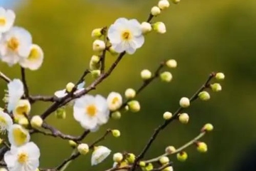 老人去世简短追悼词