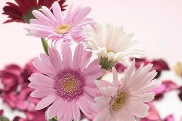 父亲去世讣告短信