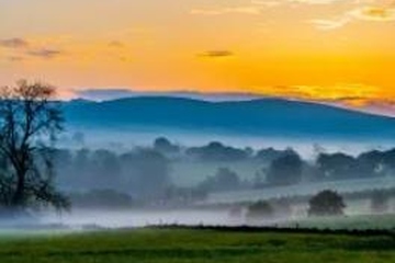 老人祭日该做什么