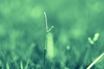 老人祭日该做什么