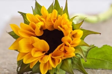 去世的人生日还要去祭拜吗