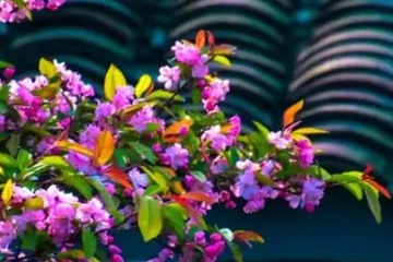 怀念去世奶奶的句子