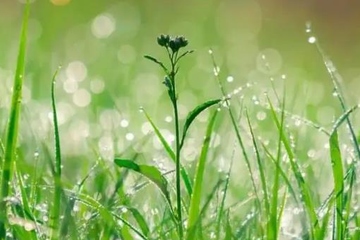 祭奠长辈去世的语句