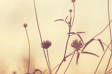 思念已故亲人的诗句