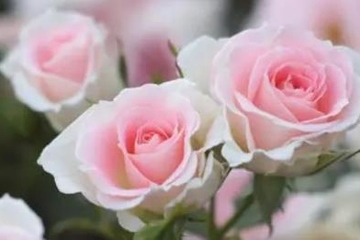 老人逝世悼词范文